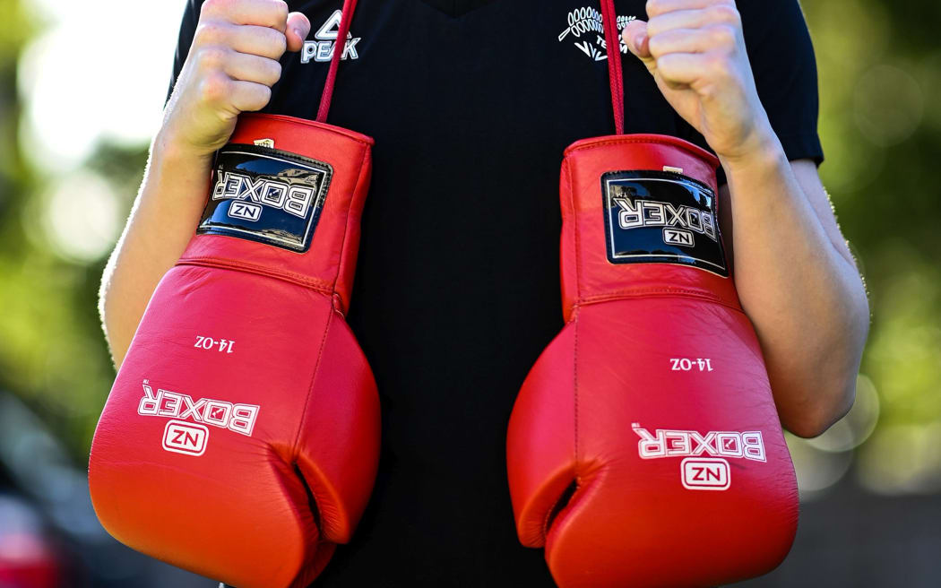 Boxing gloves