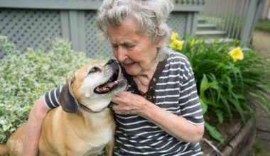 Organization in Calgary helps seniors with dogs who need care
