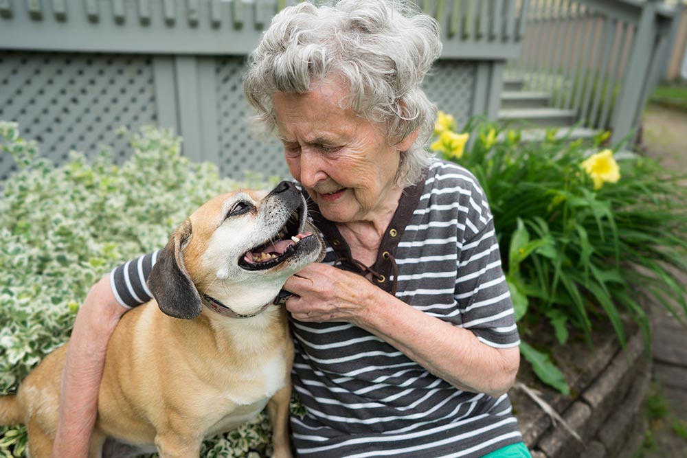 Organization in Calgary helps seniors with dogs who need care