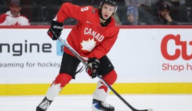 Gavin McKenna, top NHL prospect, gets felony assault charge withdrawn - National