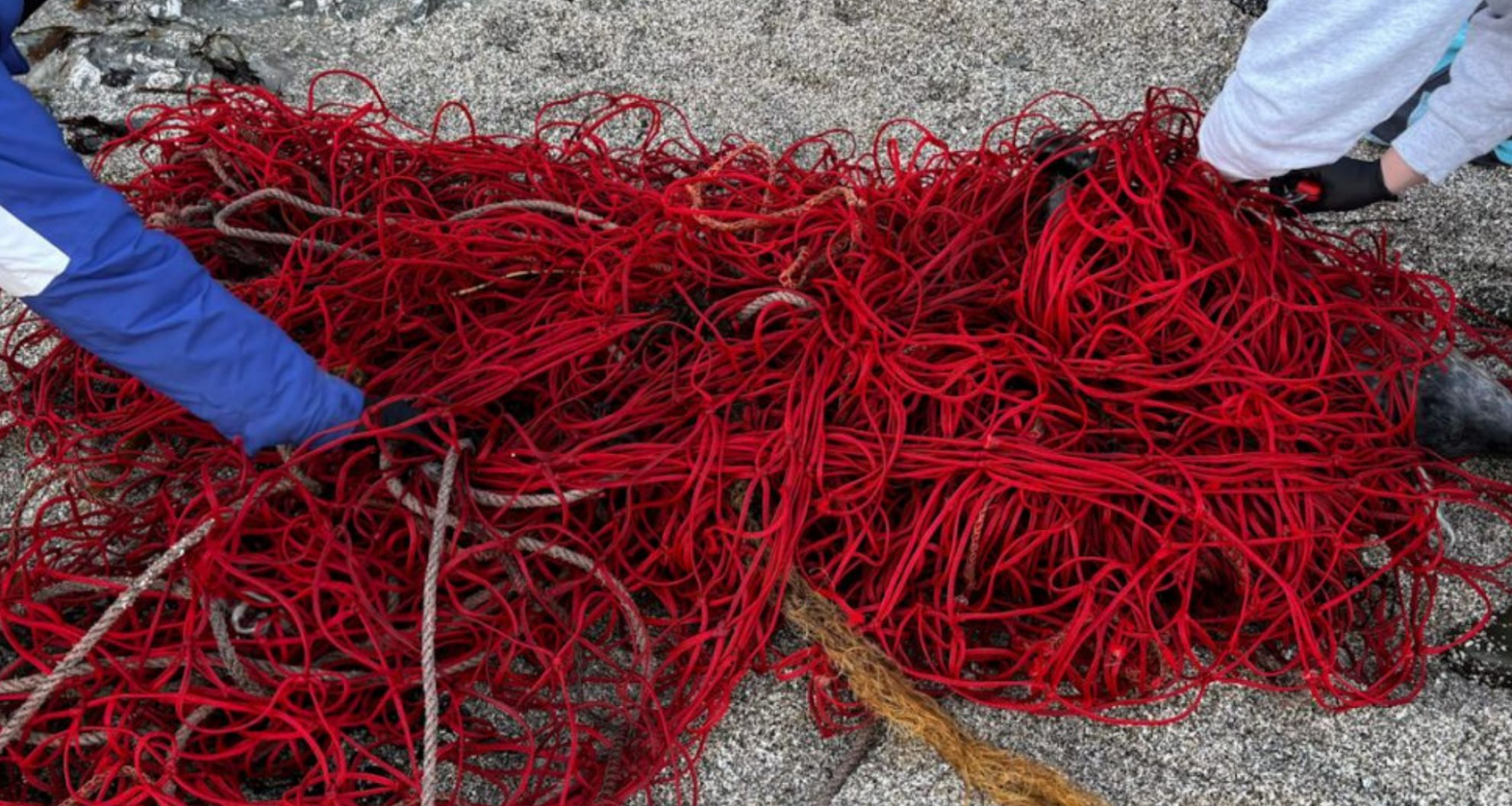 Moving pile of fishing net leads to record-breaking rescue