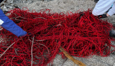 Moving pile of fishing net leads to record-breaking rescue