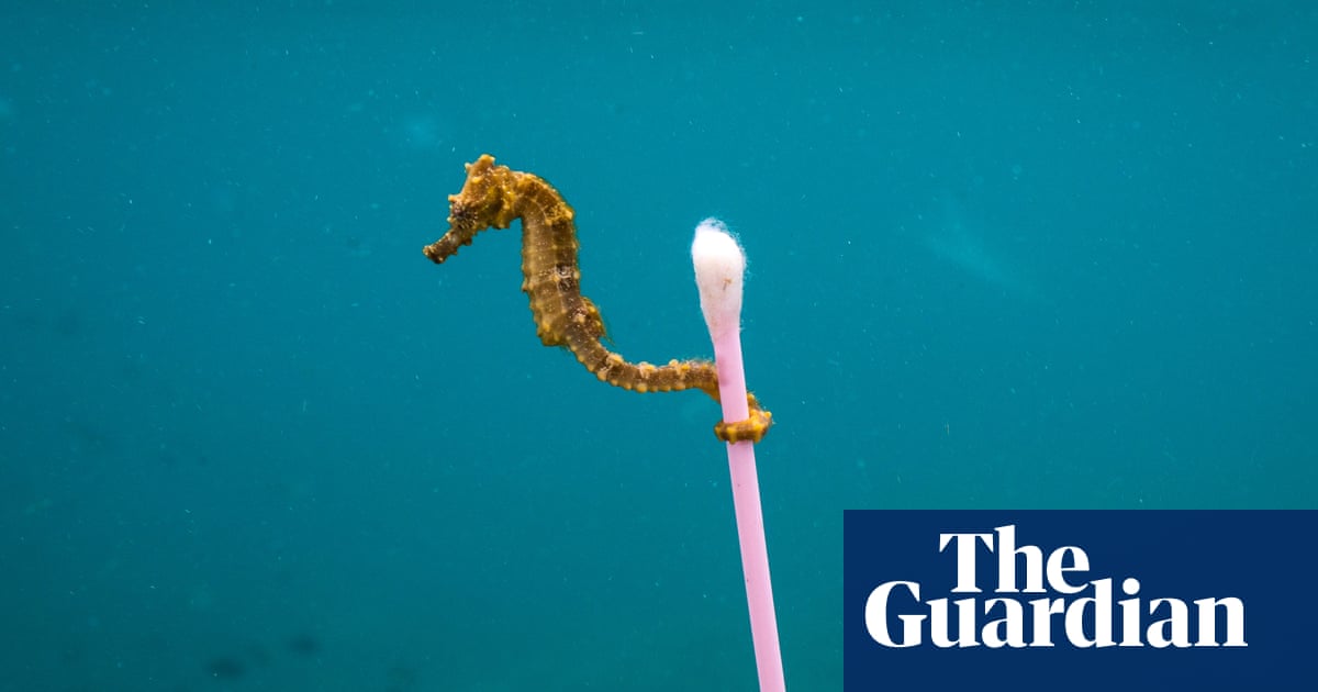 ‘They pushed so many lies about recycling’: the fight to stop big oil pumping billions more into plastics | Plastics