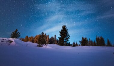 Planetary Alignment on February 28, 2026