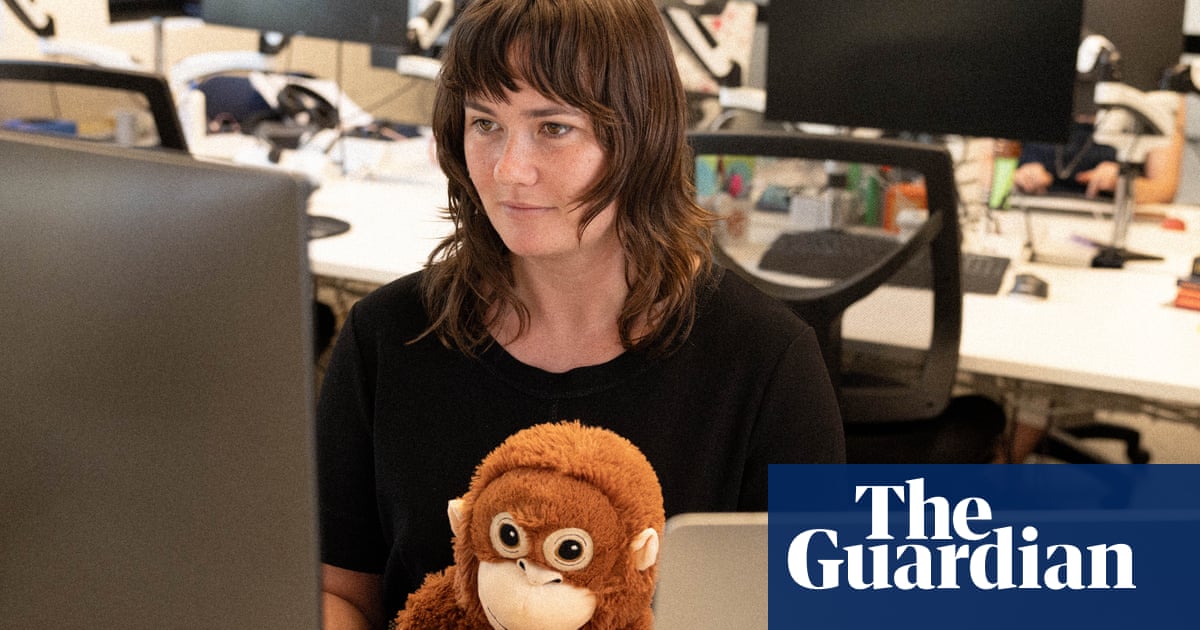 ‘What’s up with all these monkeys’: Djungelskog the orangutan comforted Punch – but can the Ikea toy help me? | Japan