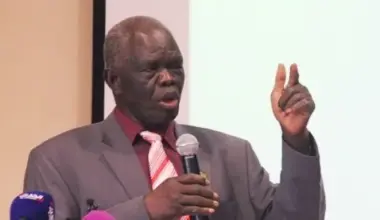 S. Sudan losing vital revenue to 'outdated' tax rates, official warns