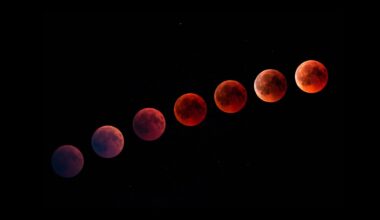 stages of the total lunar eclipse show the moon turn a progressively red colour.
