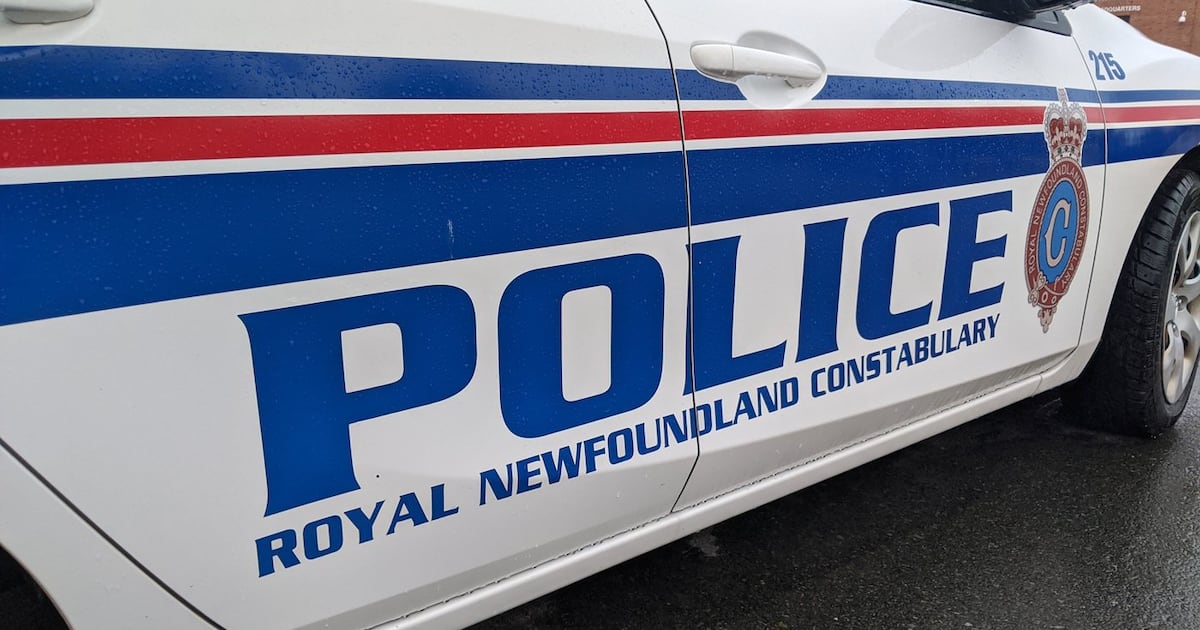 3 arrested in St. John’s, shelter-in-place lifted: Newfoundland police - CTV News