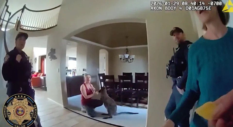 One of the owners handed the deputy some mango to feed Charlie.