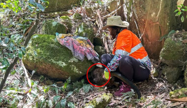 Council workers' kind act after startling find in thick Aussie bushland