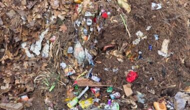 Recent photo of garbage mixed in with curbside food scraps and yard waste