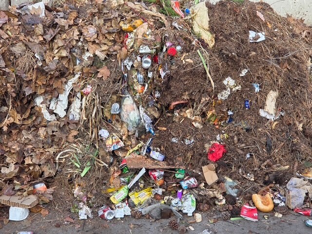 Recent photo of garbage mixed in with curbside food scraps and yard waste