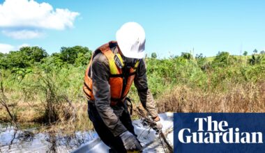 ‘If we see you again, we kill you’: how a Colombian wildlife hotspot turned into a death zone | Pollution