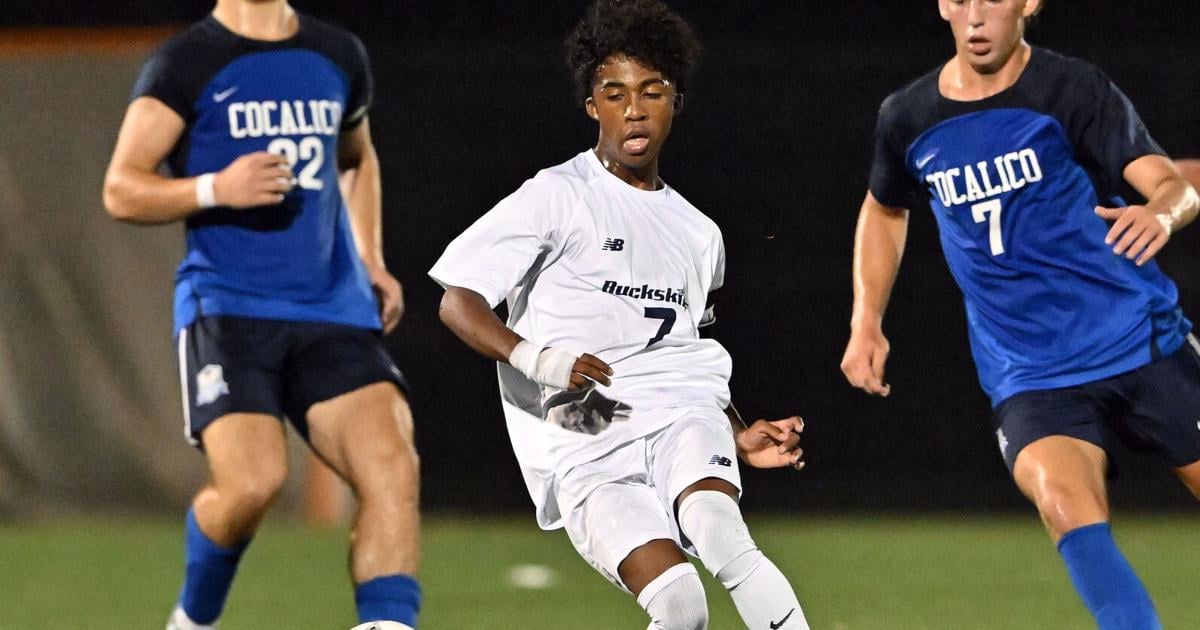 Pennsylvania Soccer Coaches Association honors 10 from L-L League area | Boys' soccer