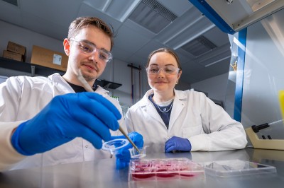 Physical pressure on the brain triggers neurons’ self-destruction programming