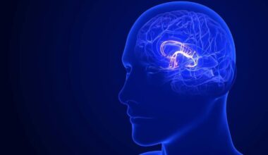 MUSC: Neurologist explains LATE dementia