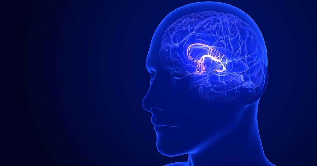 MUSC: Neurologist explains LATE dementia