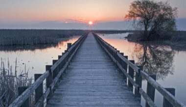Point Pelee National Park’s boardwalk leads to a huge marsh