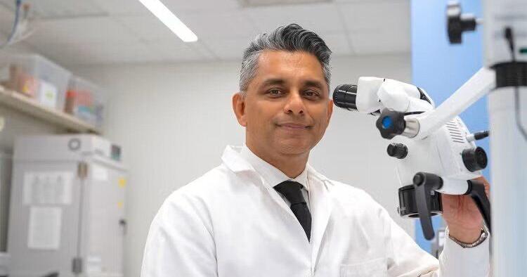 U of T dentistry dean under investigation after complaints over antisemitic course materials - Toronto Star