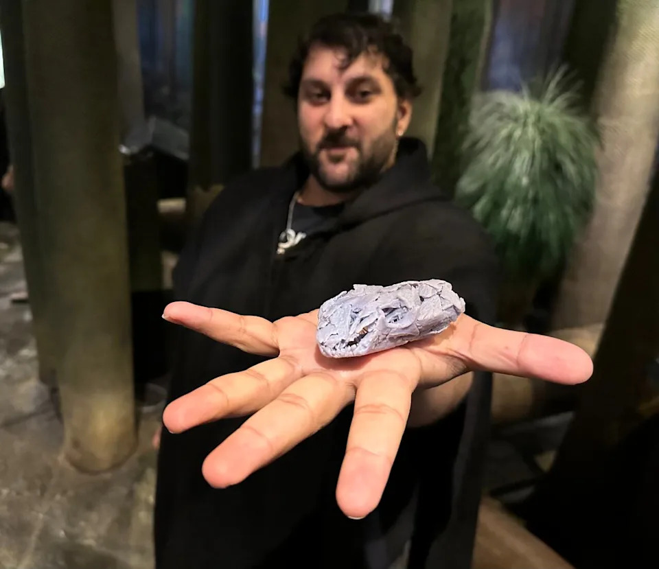 Arjan Mann with a 3D-printed replica of Tyrannoroter’s skull in the Carboniferous coal forest display at Chicago’s Field Museum.