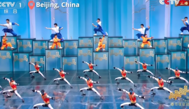 Chinese kung-fu robots steal the show in world's most-watched TV program