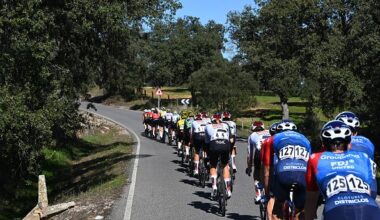 A peloton of cyclists ride along a road