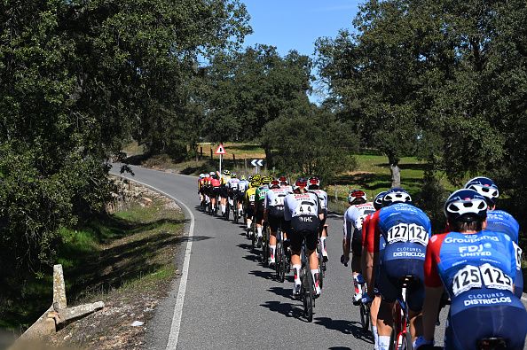 A peloton of cyclists ride along a road