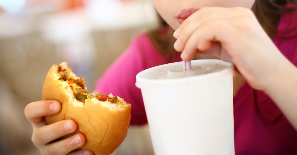 Childhood exposure to poor food can lead to lasting changes in brain function – The Irish Times