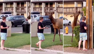 Yahoo lifestyle home