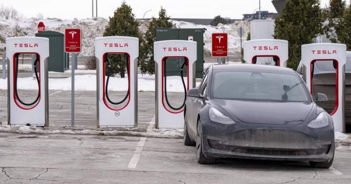 Ottawa incentivizes electric vehicle purchases; Nova Scotia makes them more expensive - Halifax