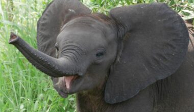 Yahoo lifestyle home