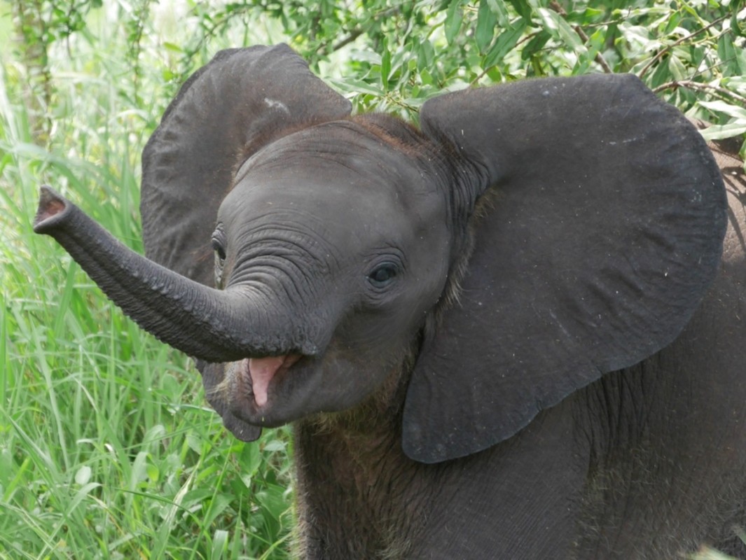 Yahoo lifestyle home