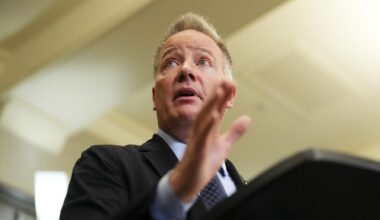 New defence purchasing agency will become more independent, MP says