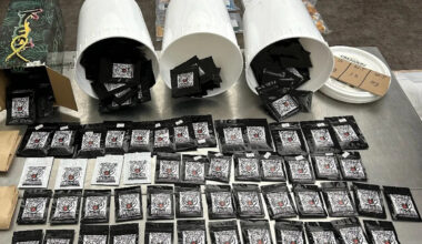 Edmonton police seize $109,400 in weapons, drugs, and designer goods