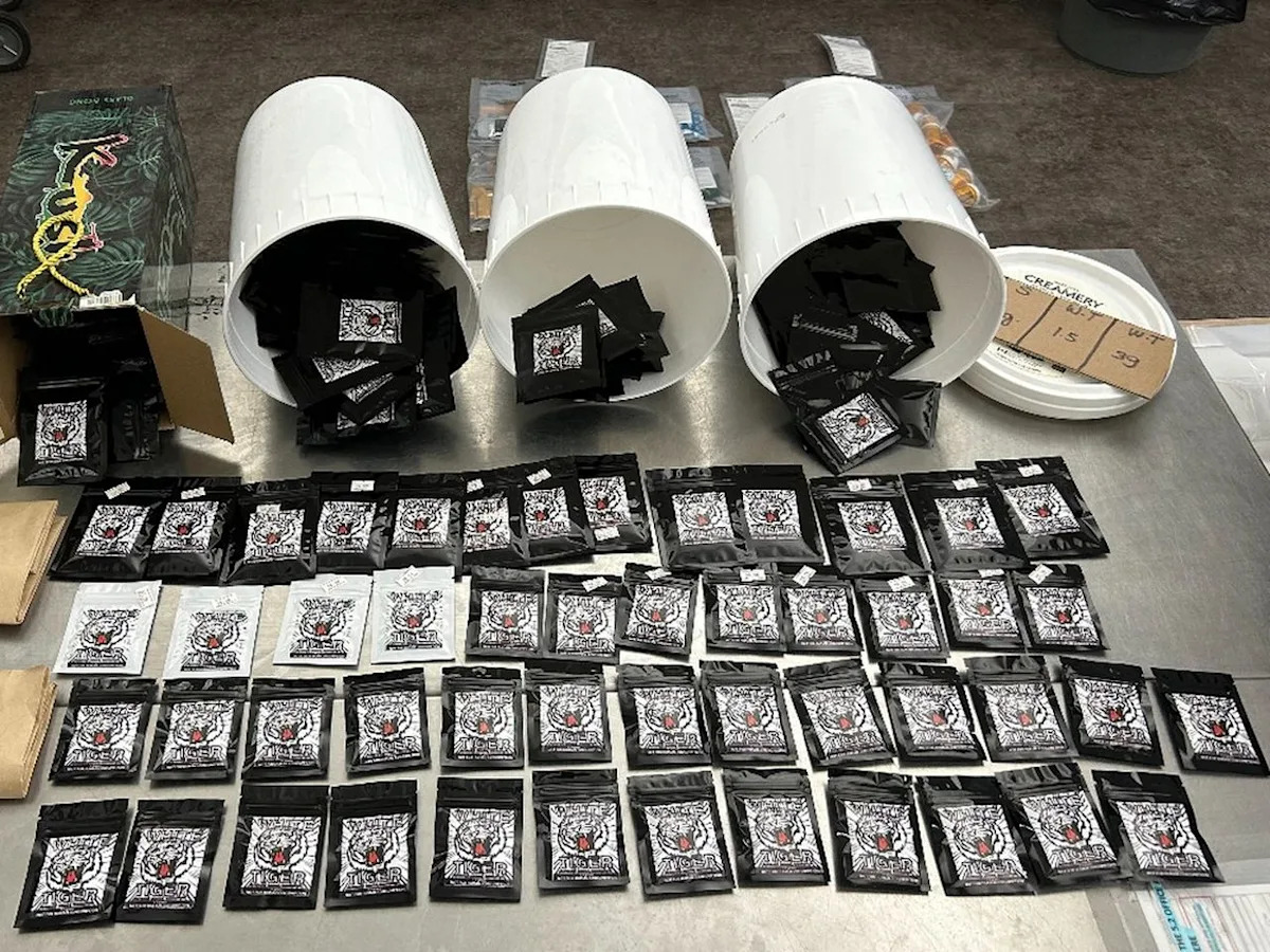 Edmonton police seize $109,400 in weapons, drugs, and designer goods