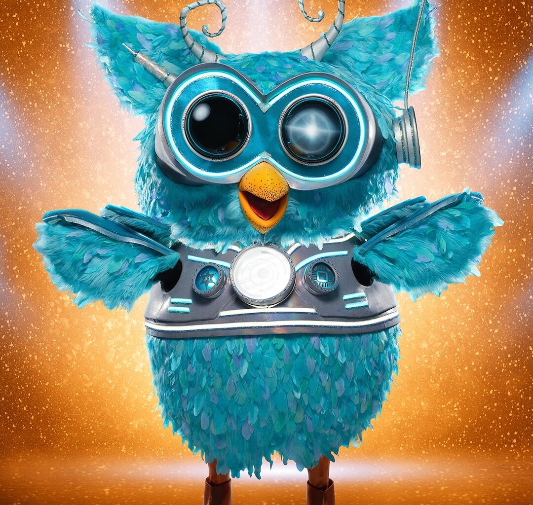 Billy Ray Cyrus, Miley Cyrus Dad, Revealed as Owl