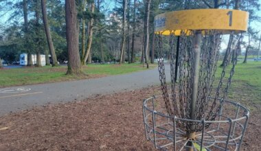 Overhaul coming for popular Nanaimo disc golf course | NanaimoNewsNOW
