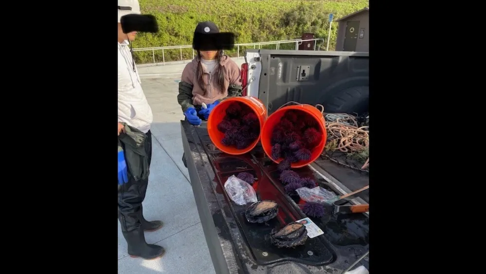 Woman caught poaching endangered species, hiding them in her pants