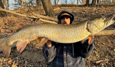 Muskie captured for 5th time in 13 years, but this time by a fisherman