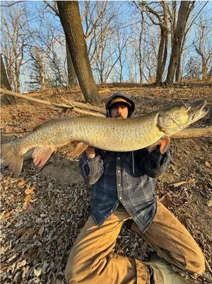 Garrett Davis holds up his trophy muskie, which has been captured and released five times.