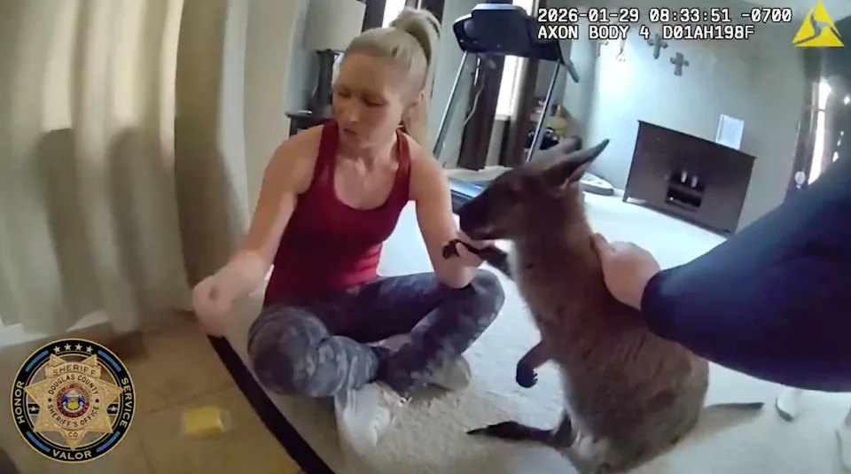 One of the deputies pets the wallaby.