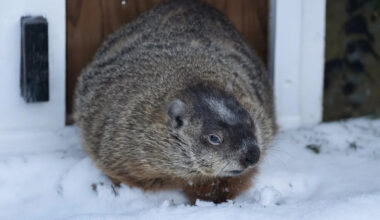 Powerful nor'easter expected to blanket parts of Atlantic Canada