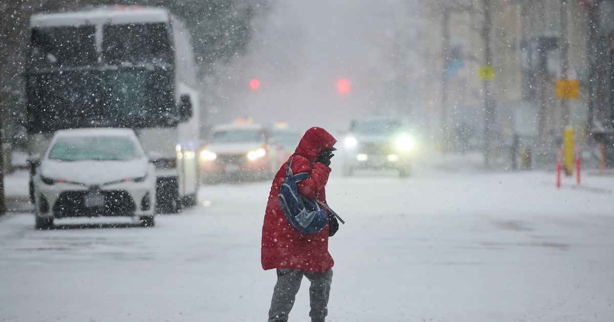 Mild temperatures on Family Day weekend
