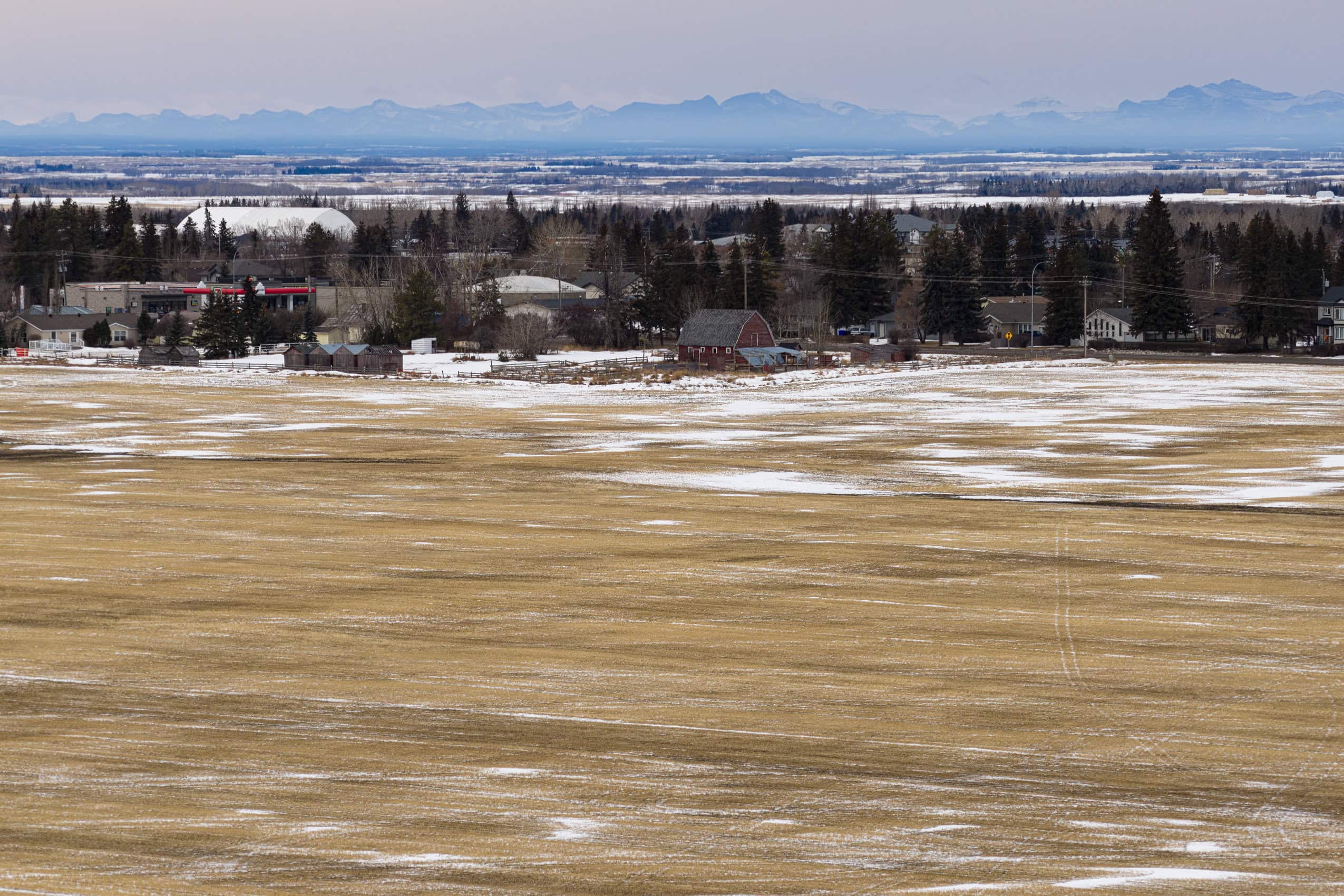 A light brown field in rural Alberta, with a light dusting of snow in some places. In the background: a small community and mountains on the horizon.