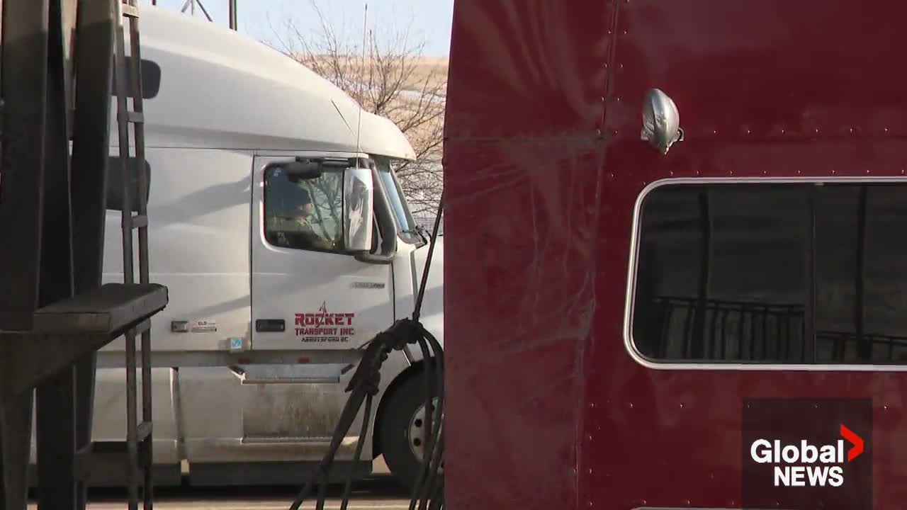 Click to play video: 'Trump signs order slapping 25% tariffs on medium and heavy-duty vehicles'