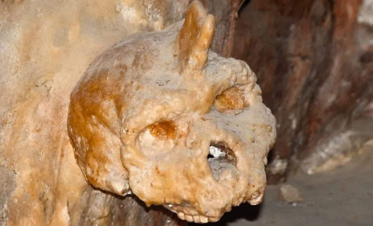 An Ancient Skull In Greece Didn’t Match Humans Or Neanderthals