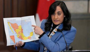 Over 61K Canadians in Mexico register as situation becomes ‘more stable’ - National