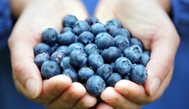 Nutri-Score labeling system fails to reflect nutritional complexity of cocoa