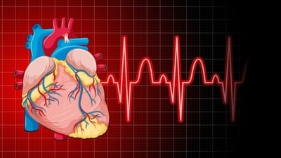 Atrial fibrillation is the most common abnormal heart rhythm in adults. (Freepik)