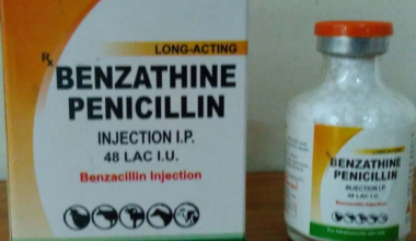 Limited benza supply as government awaits new consignment – FBC News